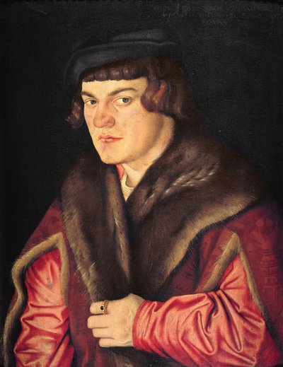 Porträt eines Mannes von Hans Baldung Grien